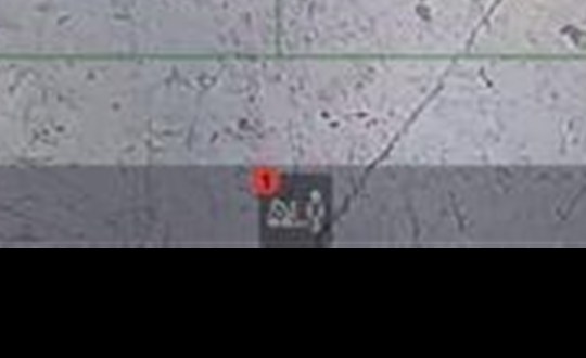 알림 배지 확대 1단계